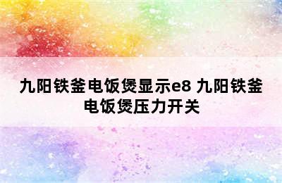 九阳铁釜电饭煲显示e8 九阳铁釜电饭煲压力开关